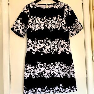 Banana Republic Women's Elegant Short Sleeves dress